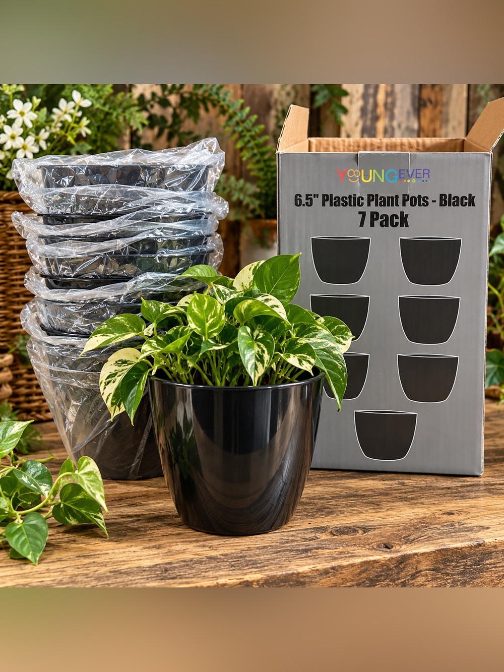 Youngever 7 Pack 6.5” Black Plant Pots with Drainage